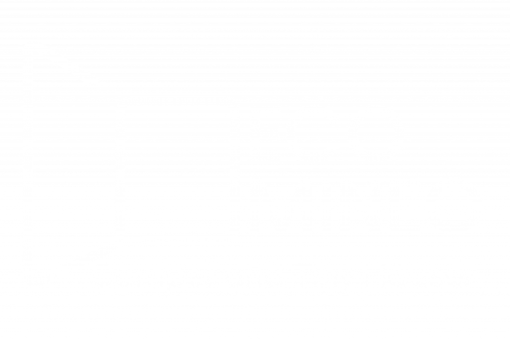 Kopie von ECO mineo Logo 1.pdf1